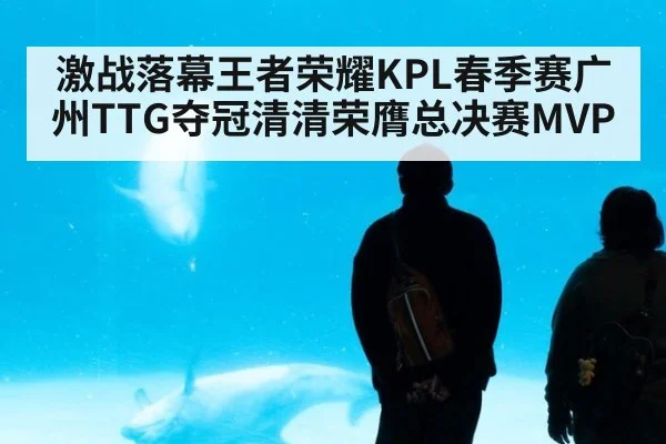 激战落幕王者荣耀KPL春季赛广州TTG夺冠清清荣膺总决赛MVP